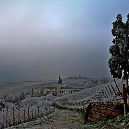 Auszeit Rheingauer Rosengasse Daire Johannisberg Dış mekan fotoğraf